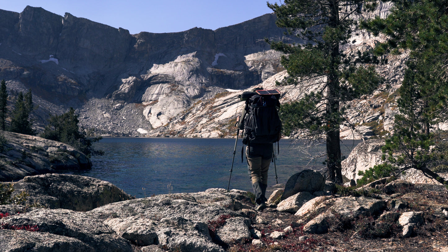 Stills: Sequoia