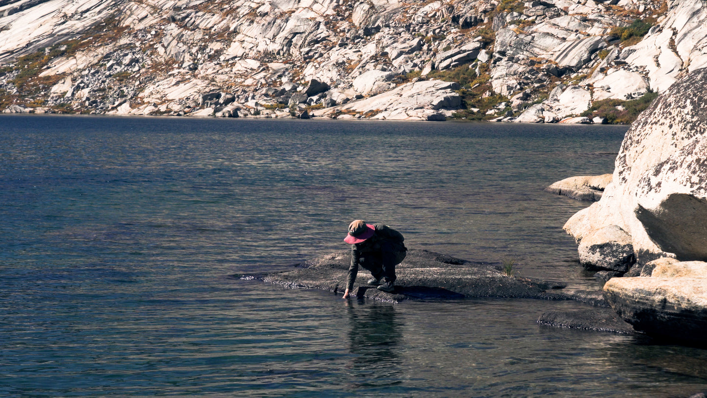 Stills: Sequoia