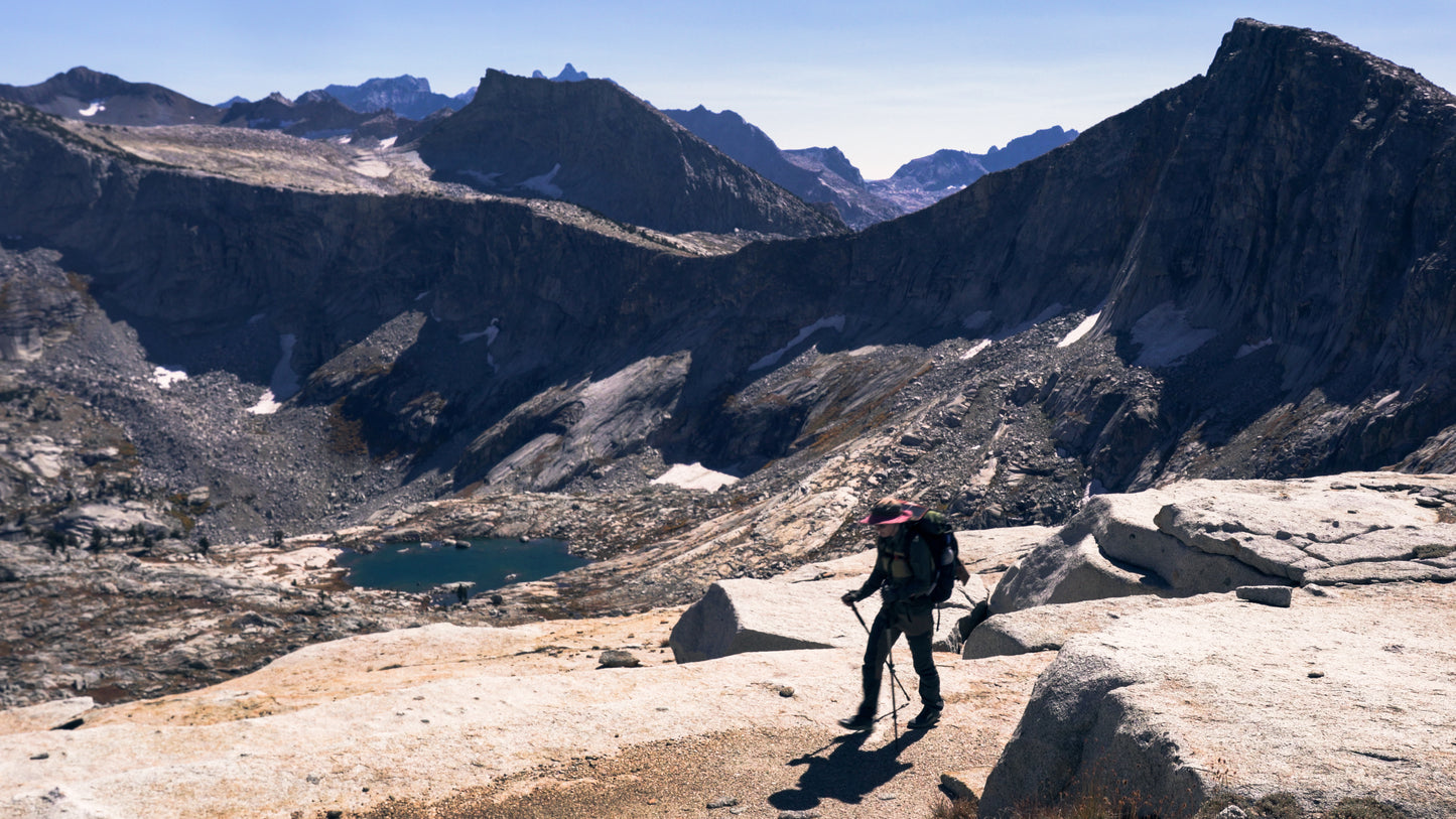 Stills: Sequoia