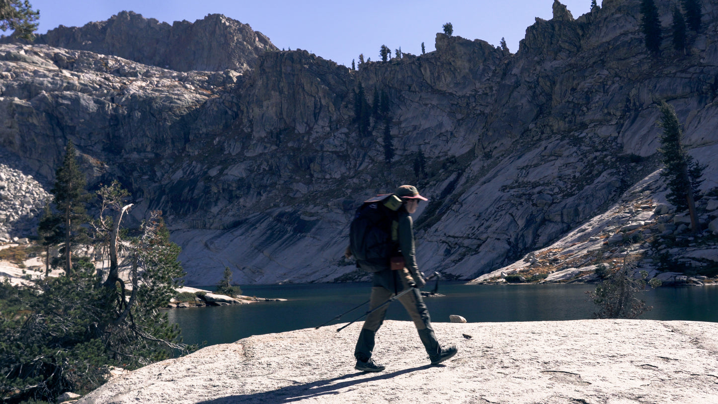 Stills: Sequoia
