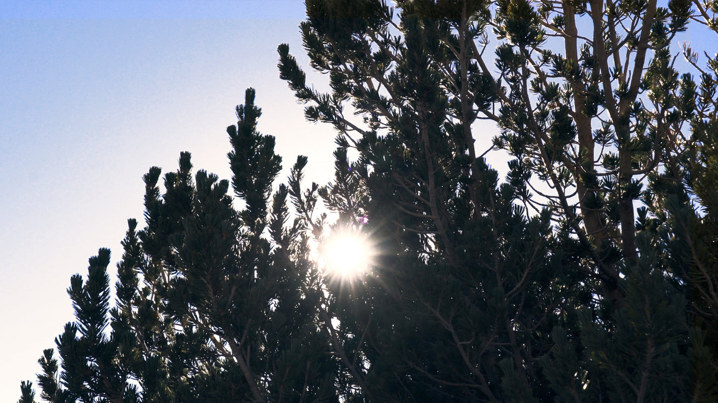 Stills: Eastern Sierra