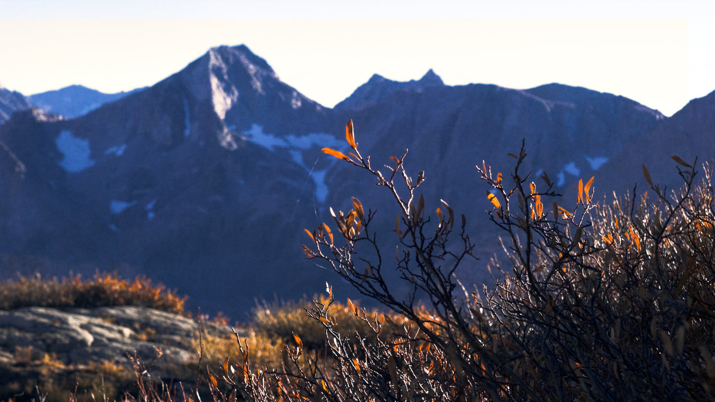 Stills: Eastern Sierra