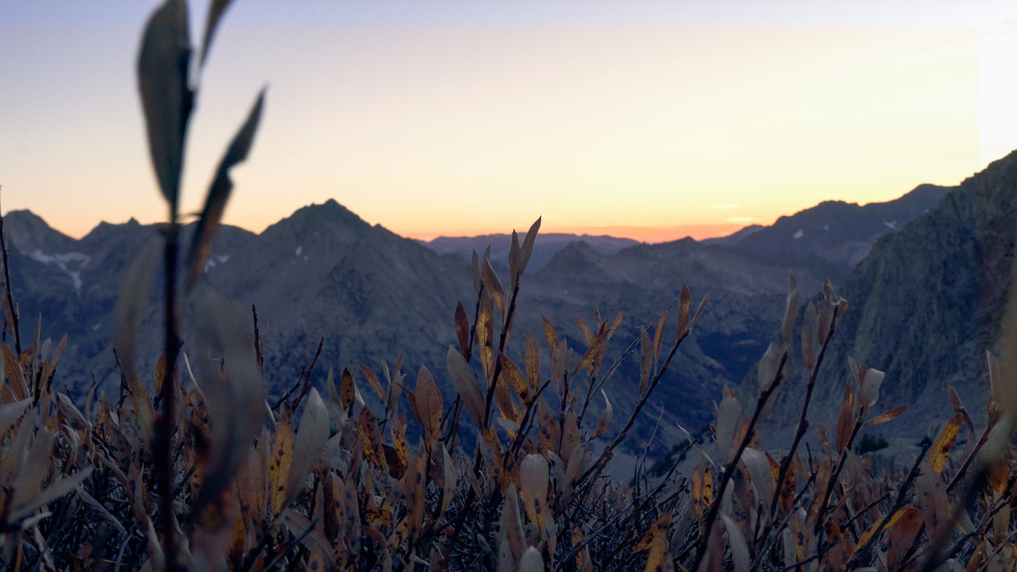 Stills: Eastern Sierra