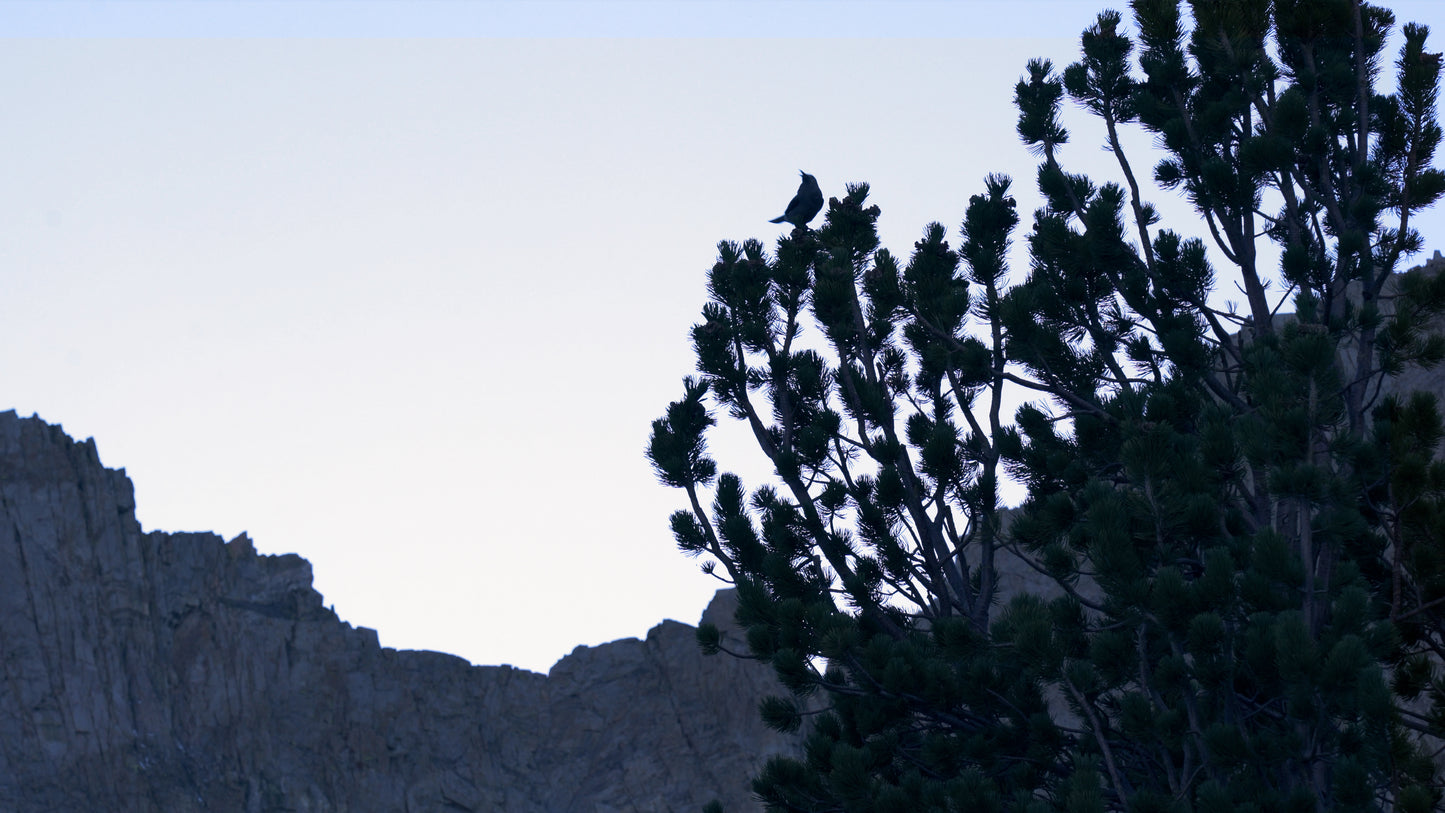 Stills: Eastern Sierra