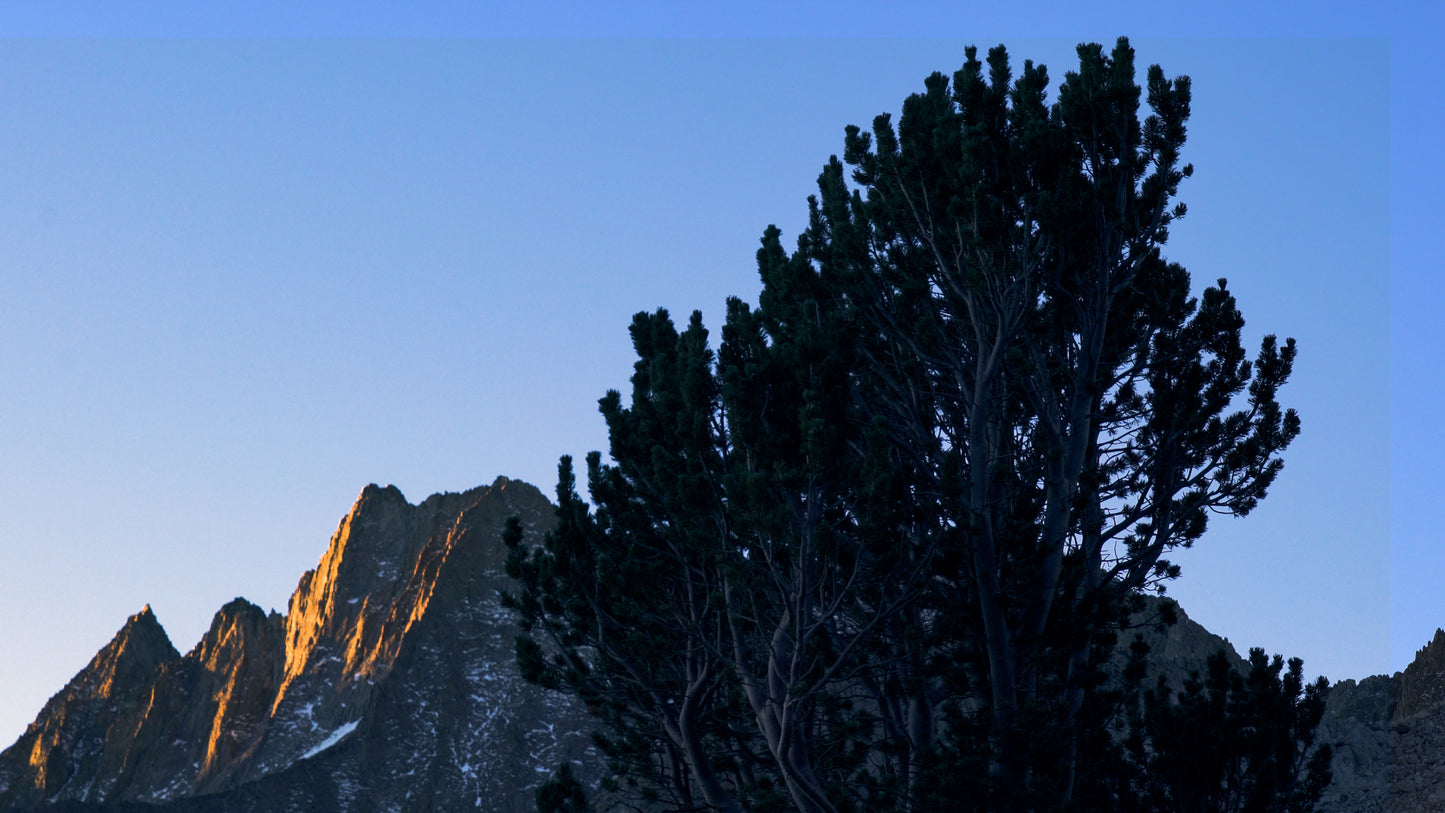 Stills: Eastern Sierra
