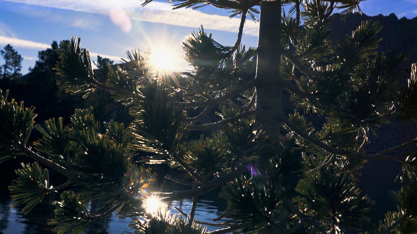 Stills: Eastern Sierra