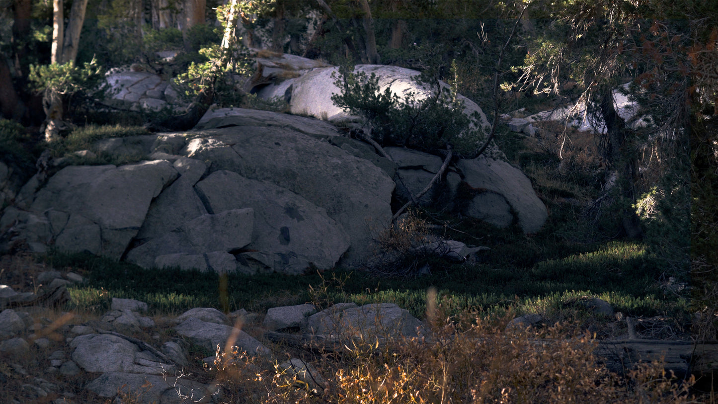 Stills: Eastern Sierra
