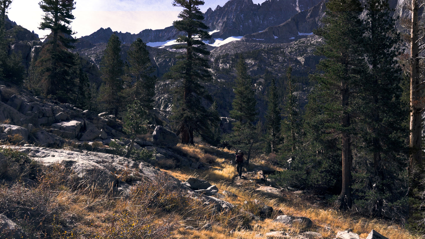 Stills: Eastern Sierra