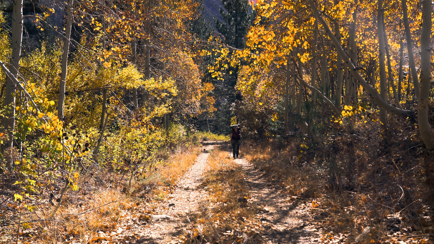 Stills: Eastern Sierra