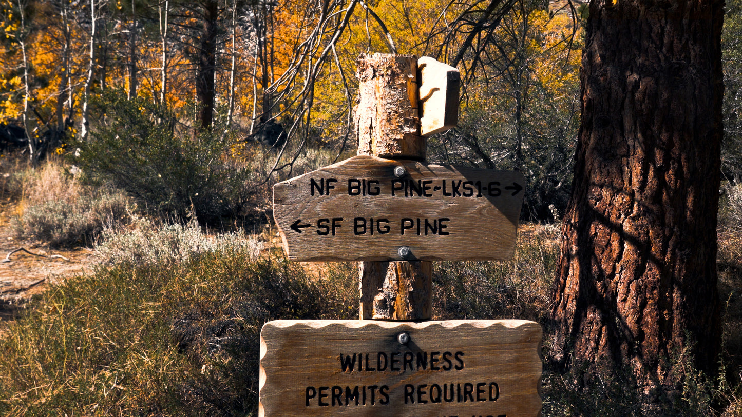 Stills: Eastern Sierra