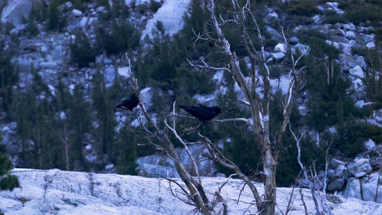 Stills: Eastern Sierra