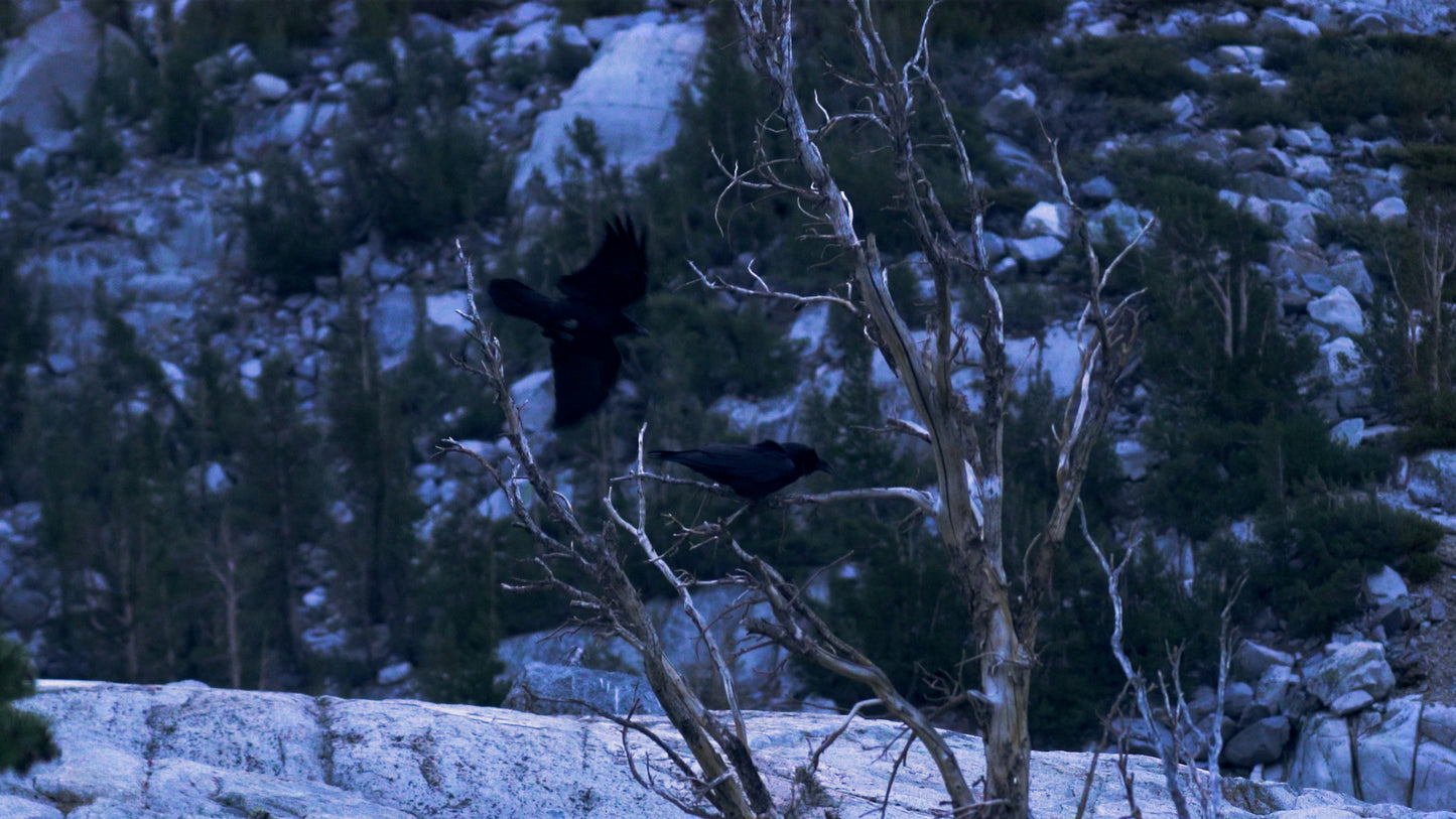 Stills: Eastern Sierra