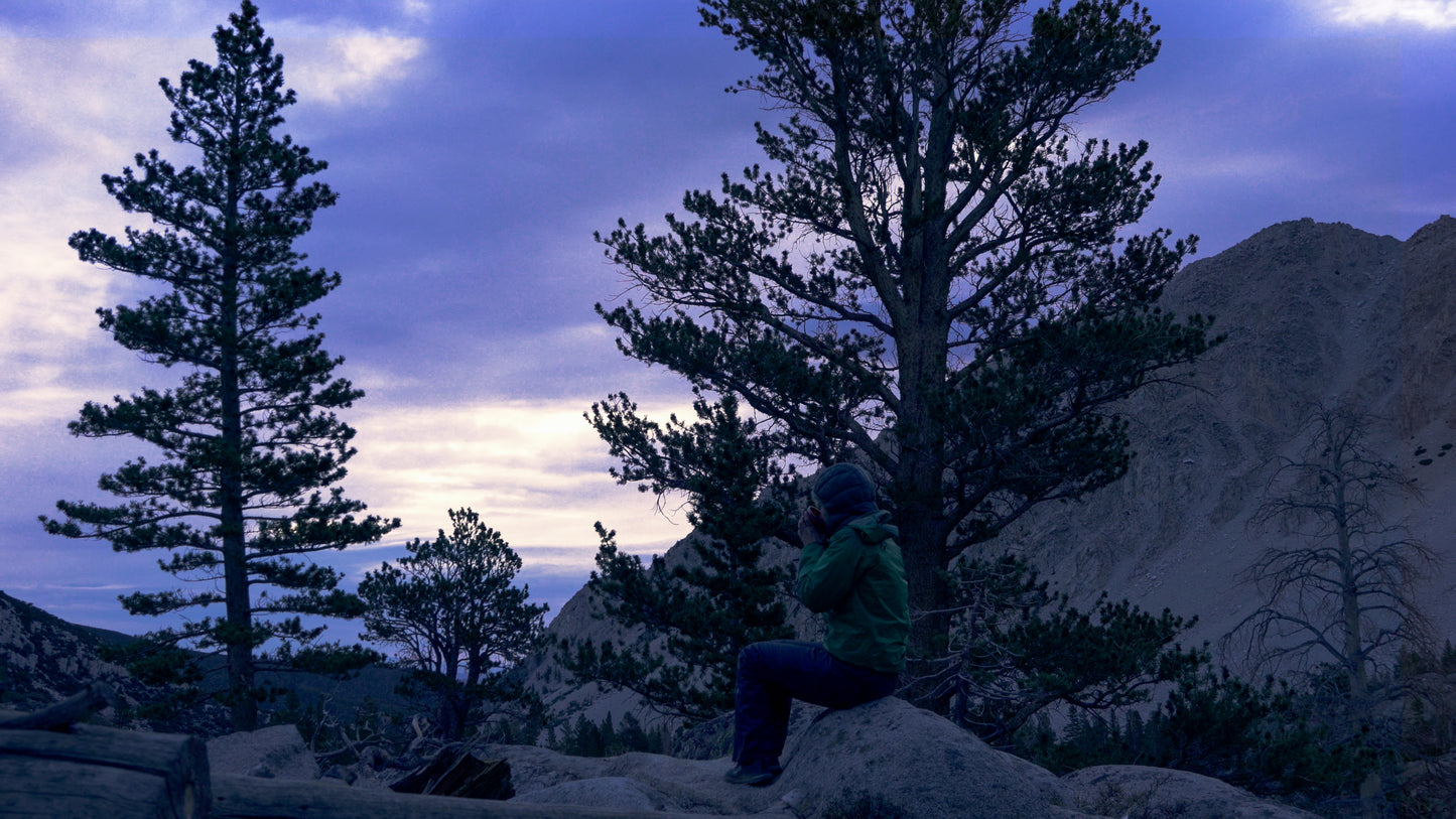 Stills: Eastern Sierra