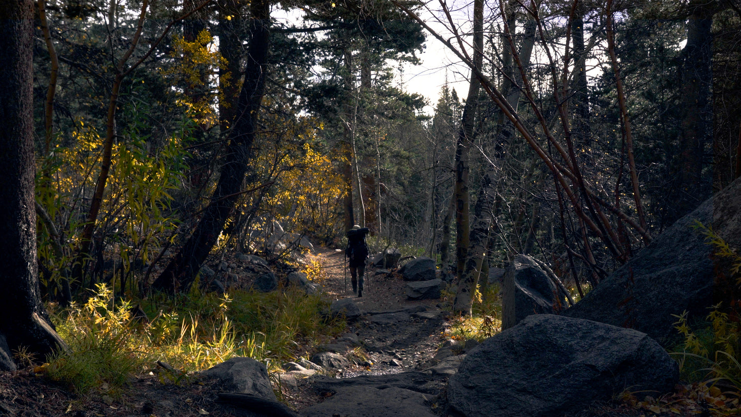 Stills: Eastern Sierra