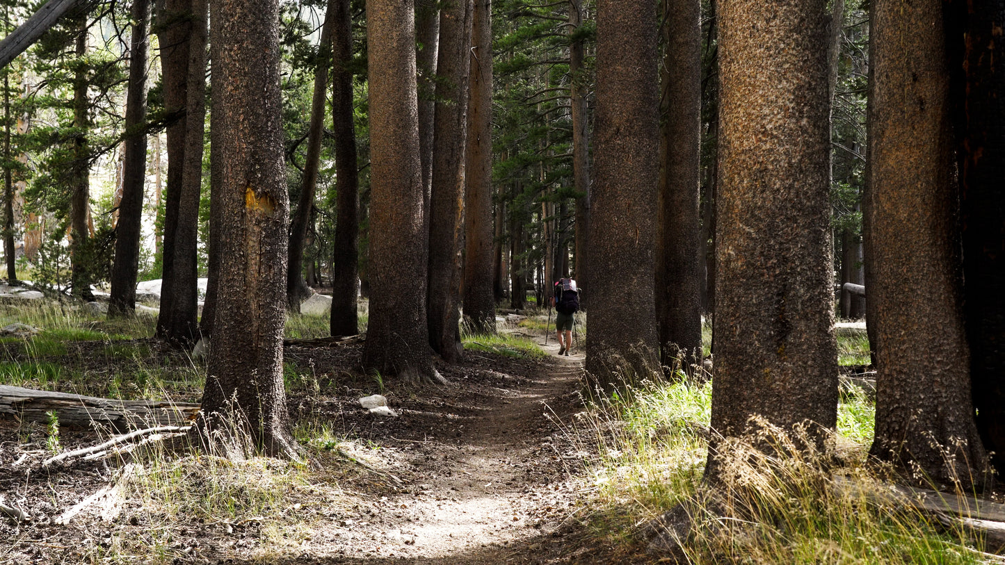 Stills: John Muir Wilderness