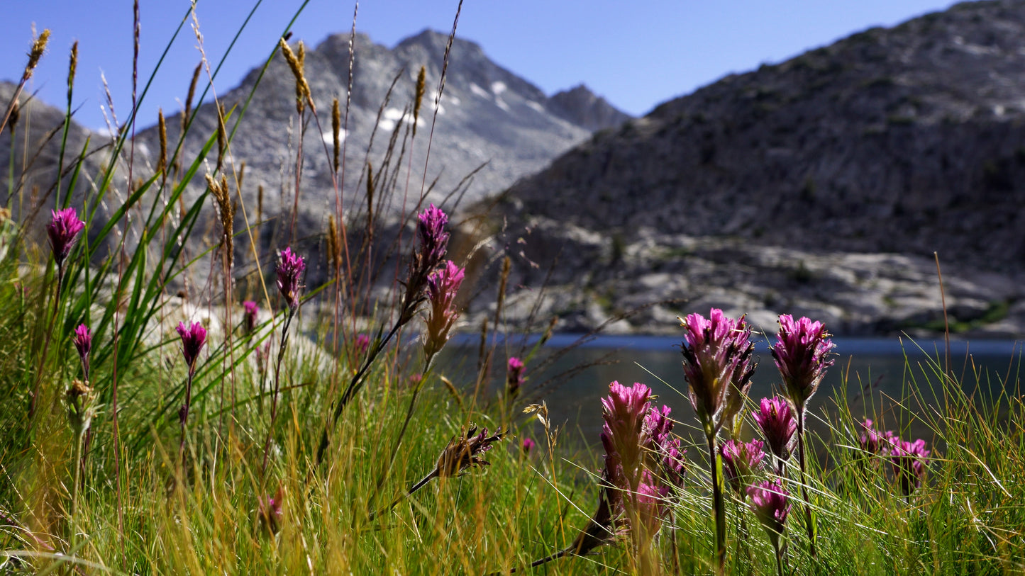 Stills: John Muir Wilderness