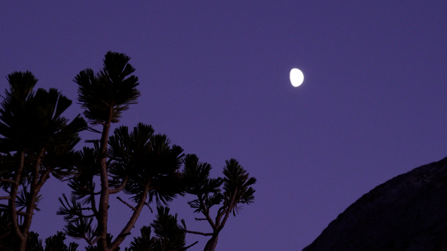 Stills: John Muir Wilderness