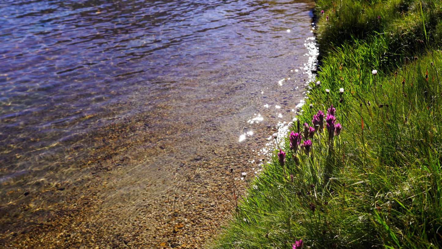 Stills: John Muir Wilderness