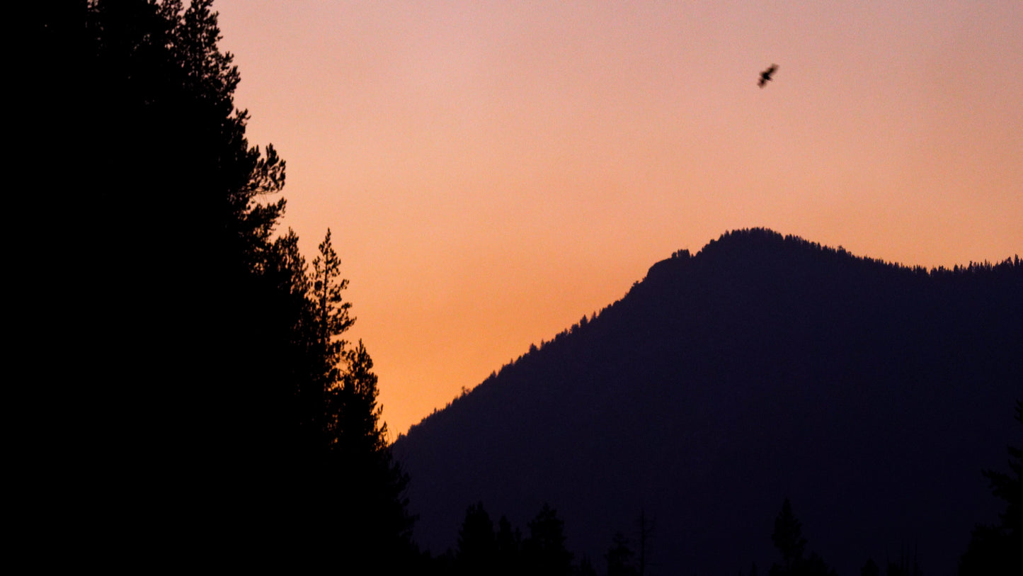 Stills: John Muir Wilderness
