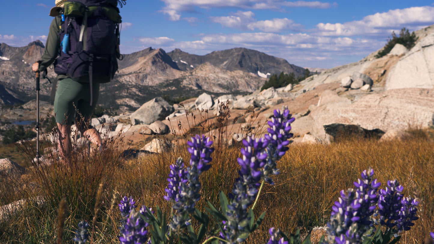 Stills: Kings Canyon