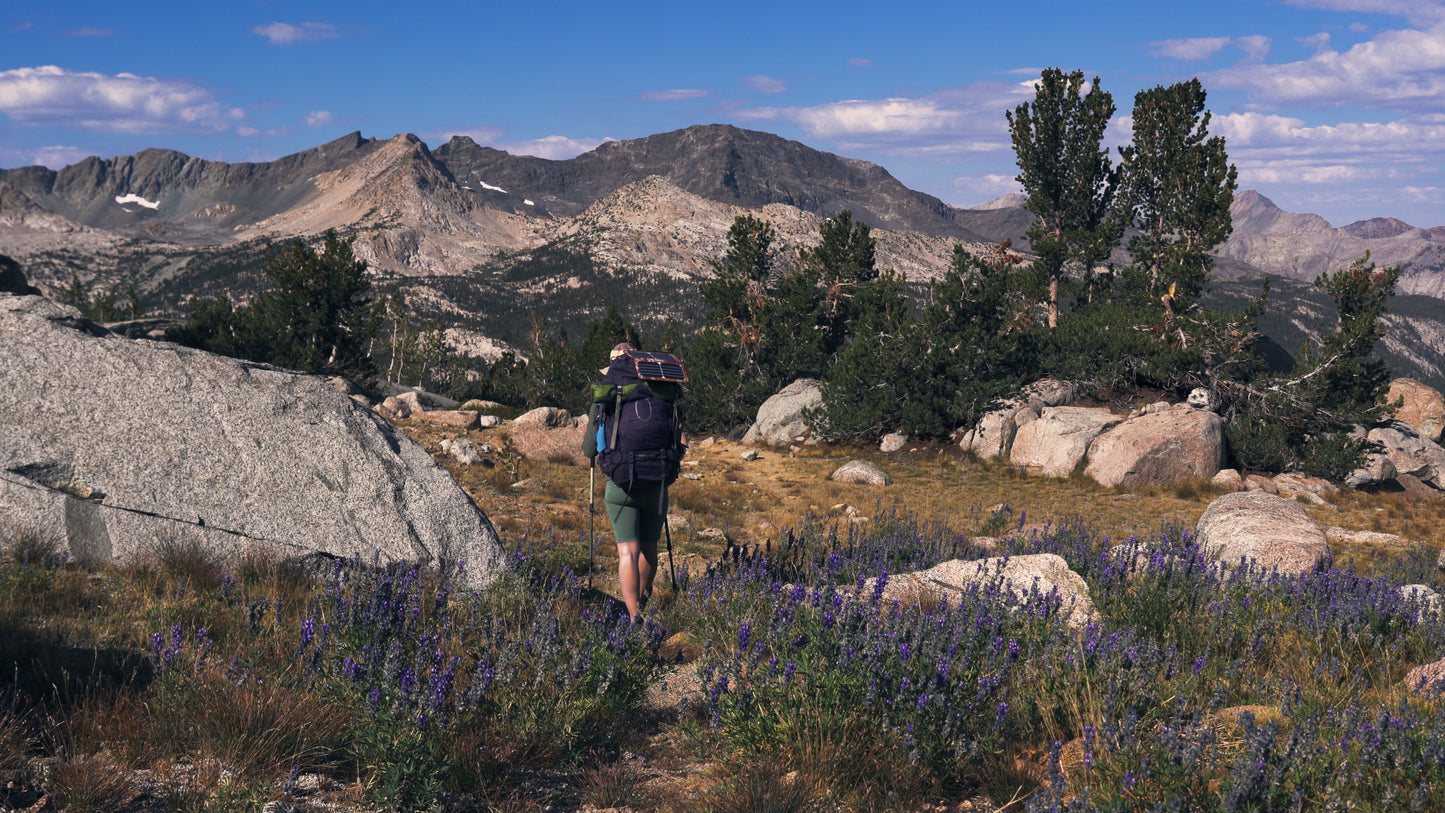 Stills: Kings Canyon