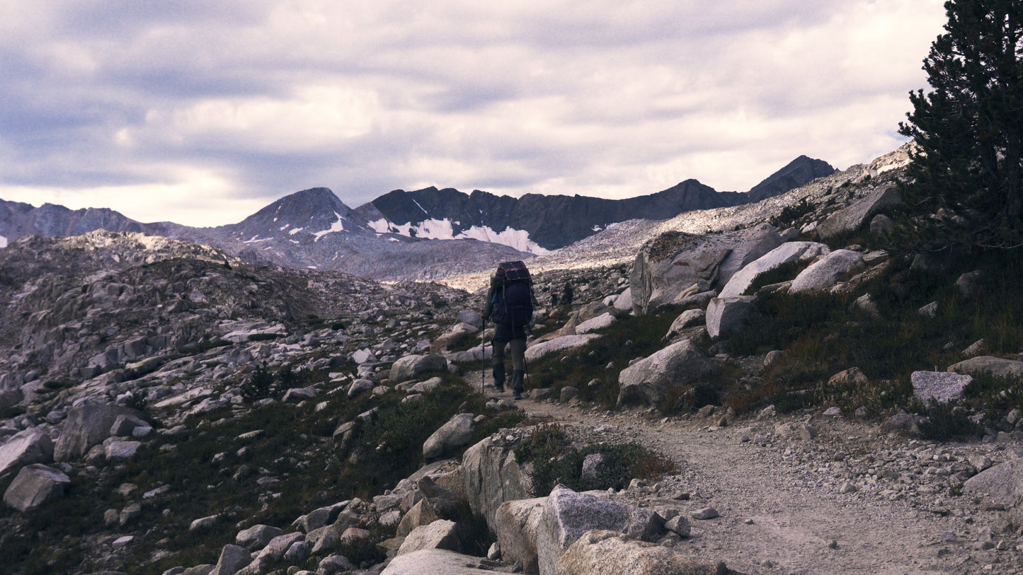 Stills: Kings Canyon