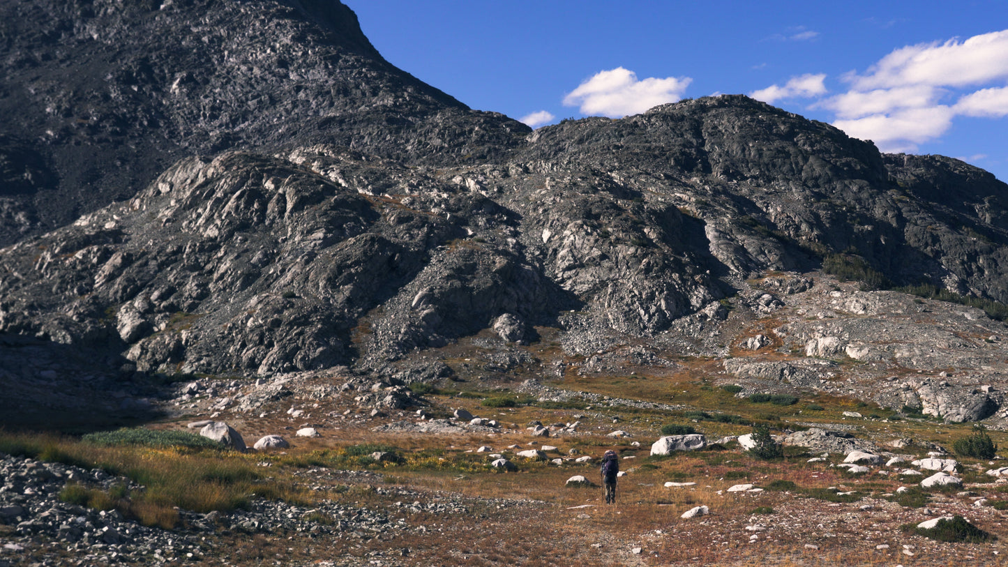 Stills: Kings Canyon