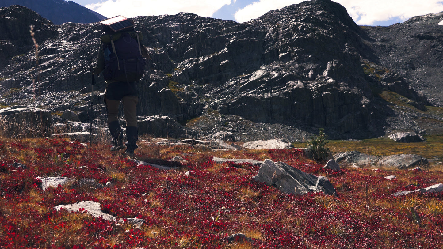 Stills: Kings Canyon