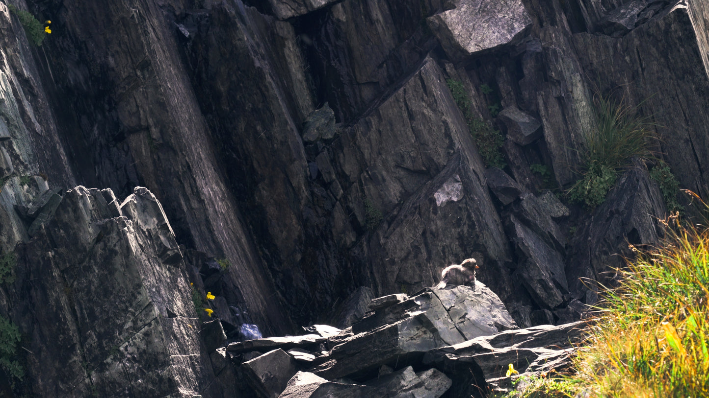 Stills: Kings Canyon