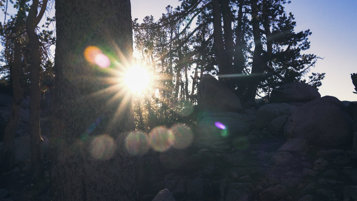 Stills: Kings Canyon