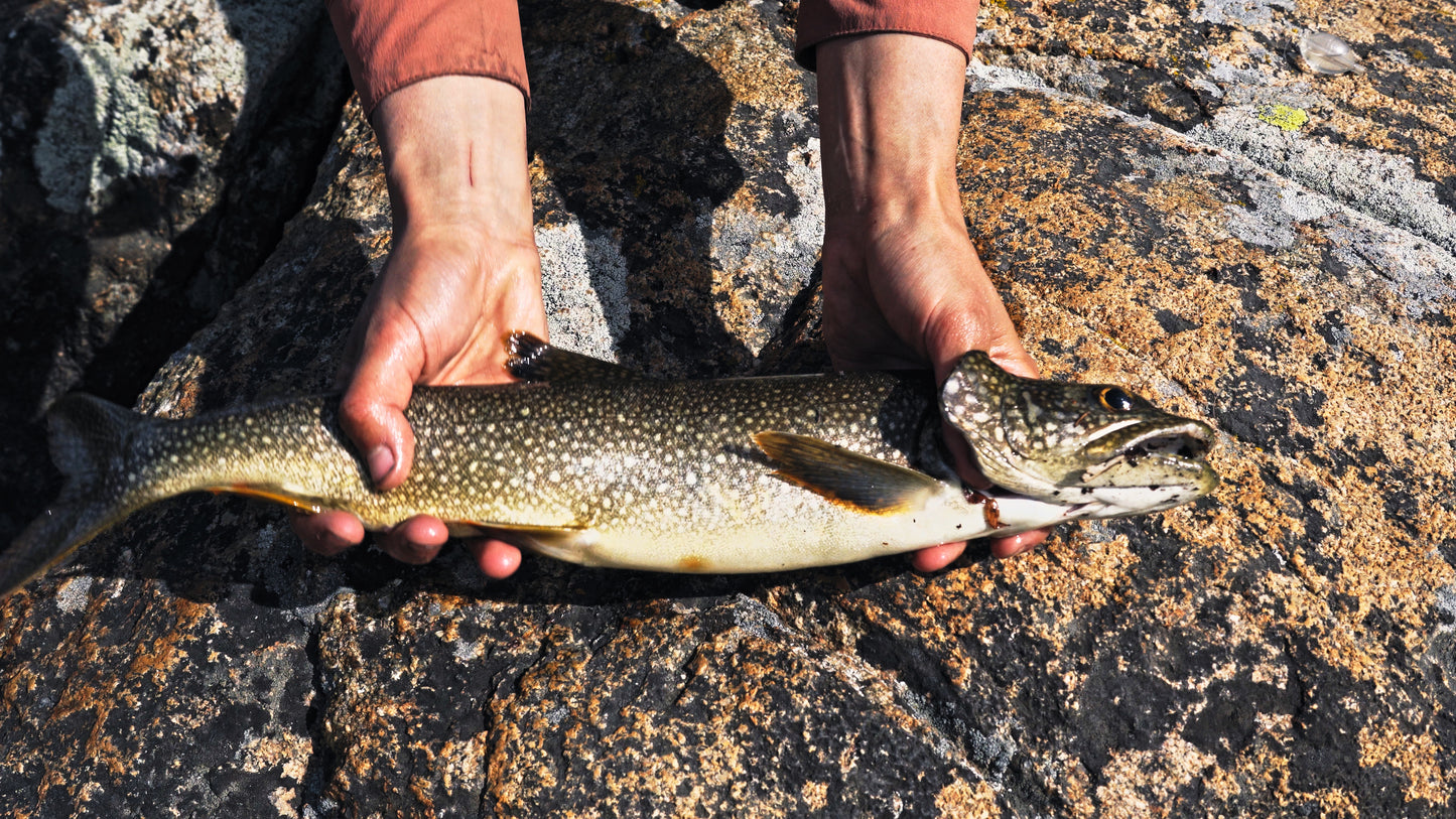 Stills: Wind River Range