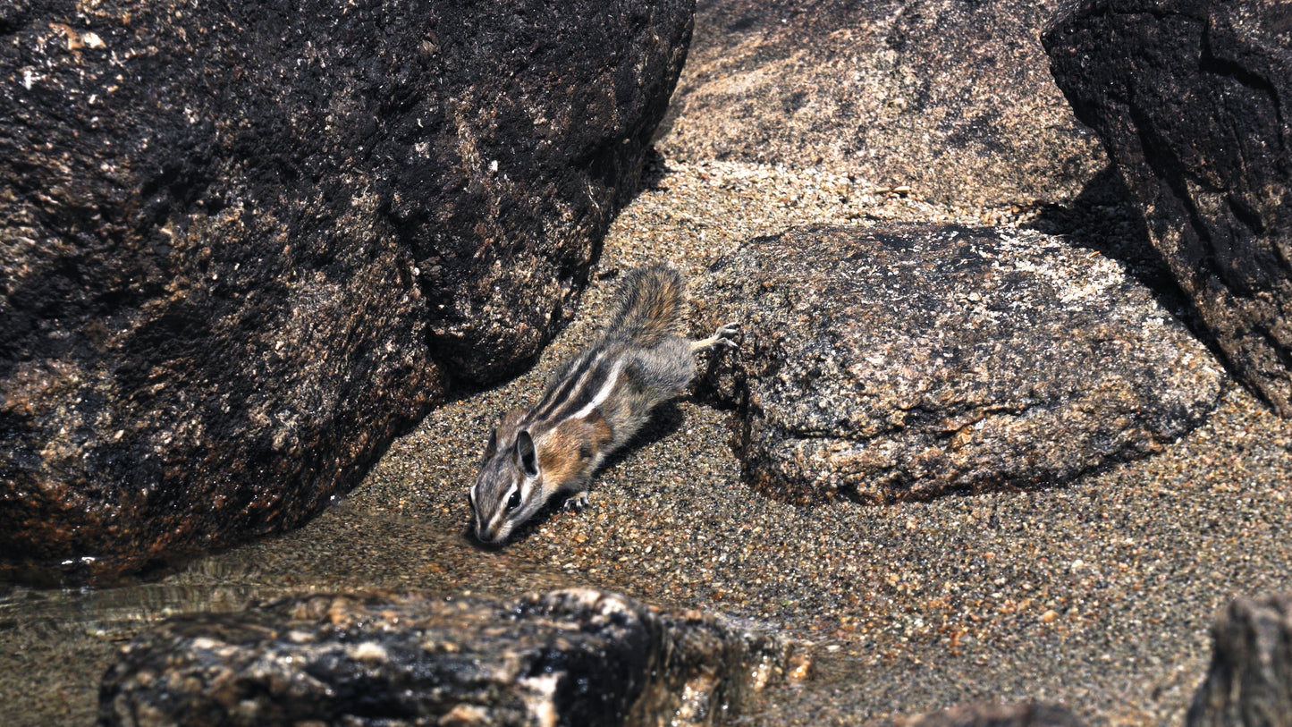 Stills: Wind River Range