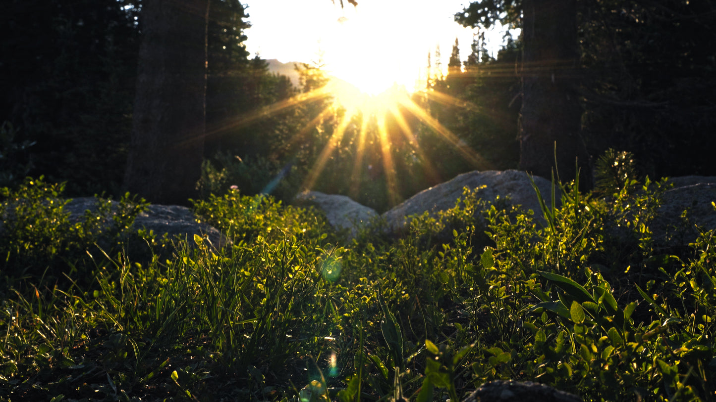 Stills: Wind River Range