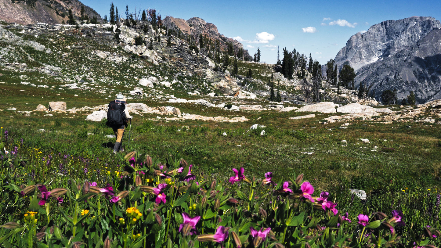 Stills: Grand Teton