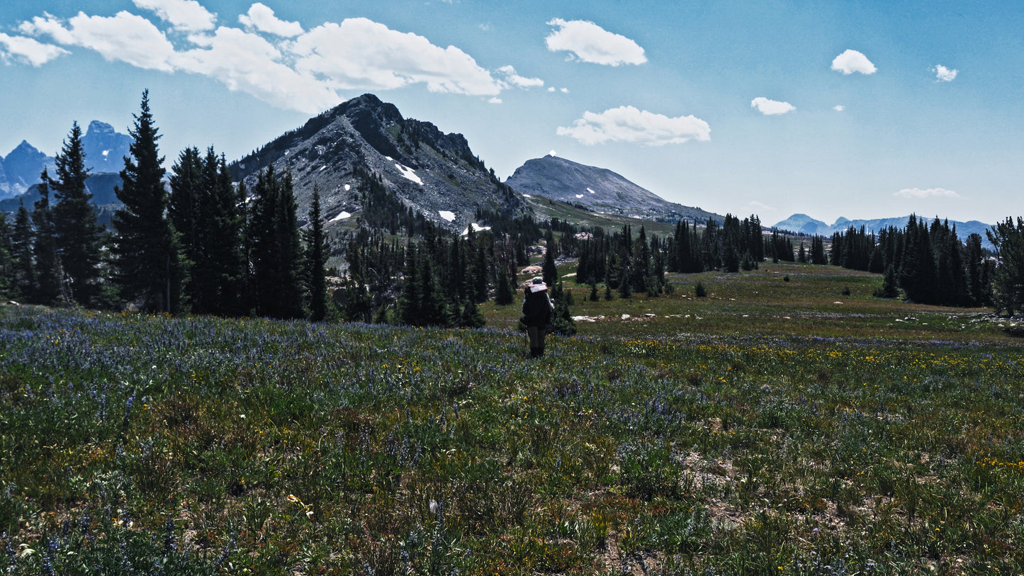 Stills: Grand Teton