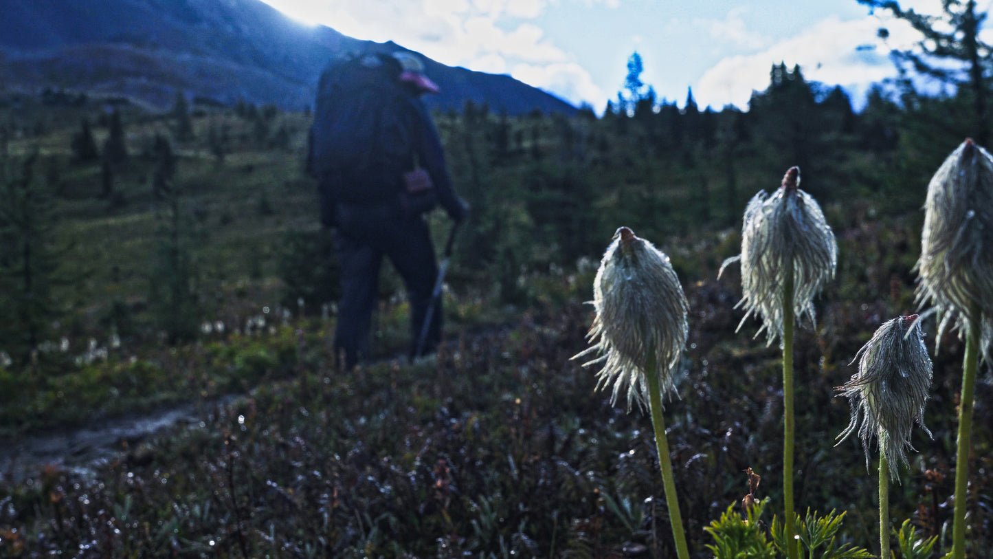 Stills: Canadian Rockies