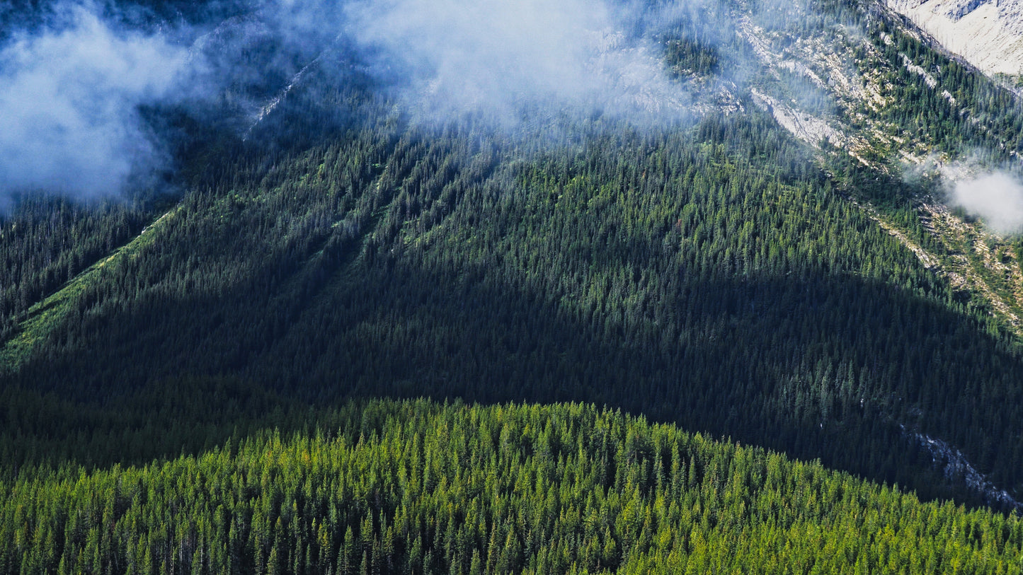 Stills: Canadian Rockies
