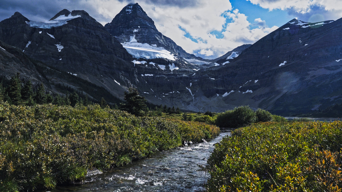 Stills: Canadian Rockies