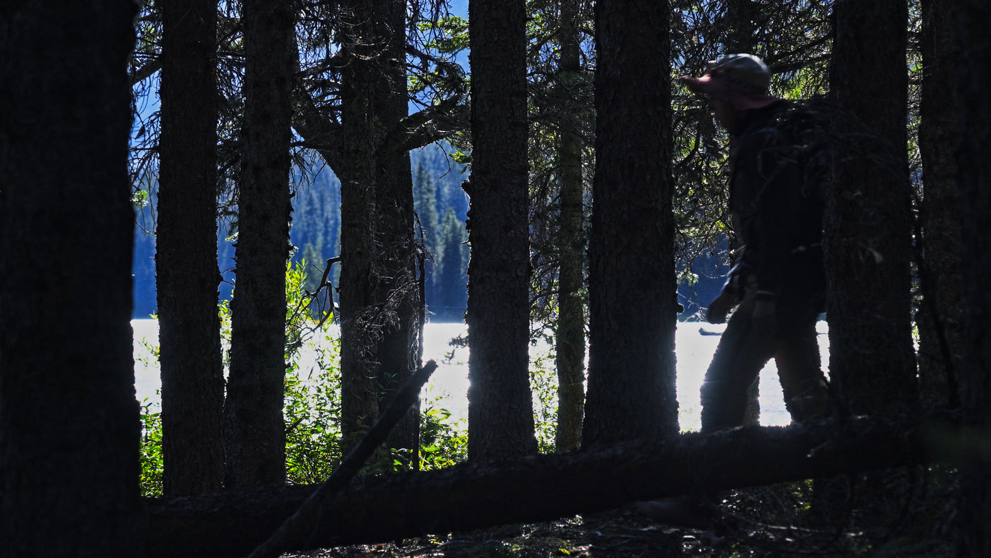 Stills: Canadian Rockies