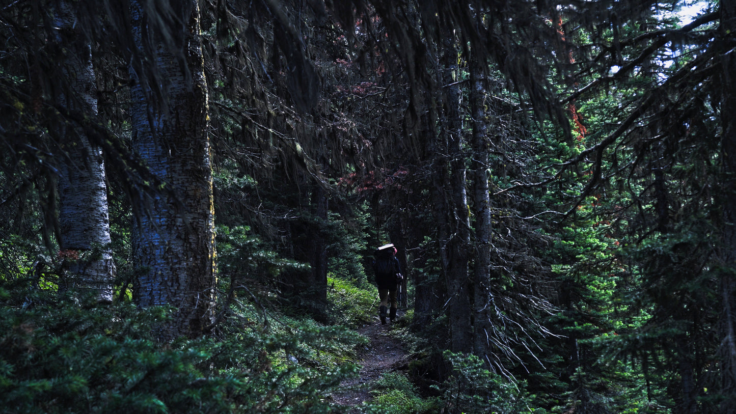 Stills: Canadian Rockies