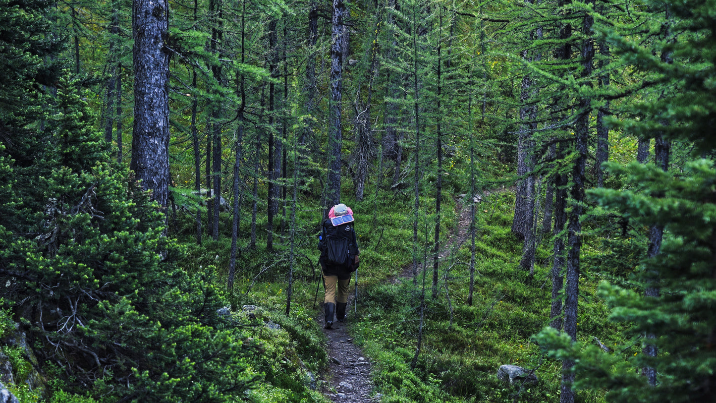 Stills: Canadian Rockies
