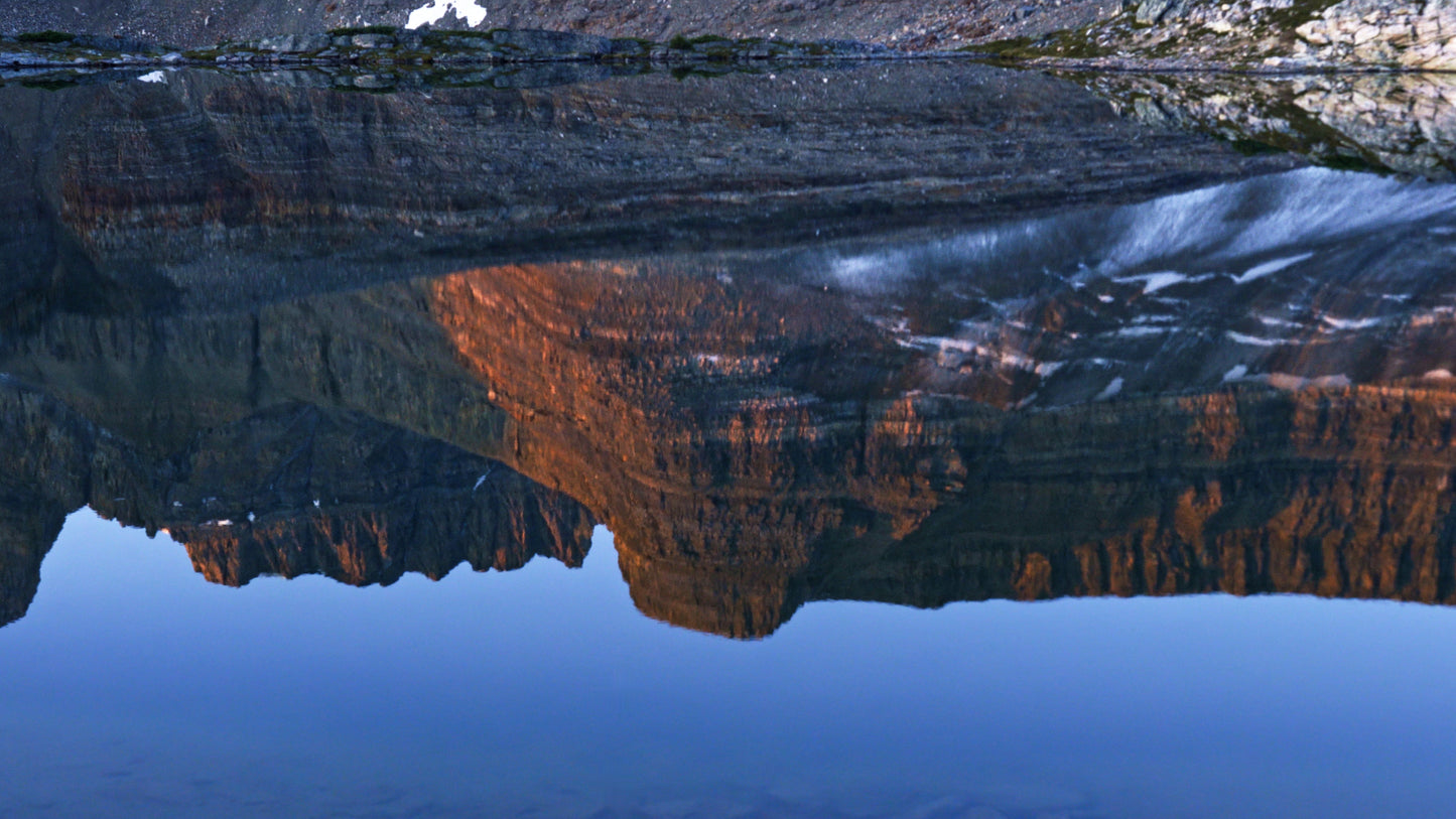 Stills: White Goat Wilderness