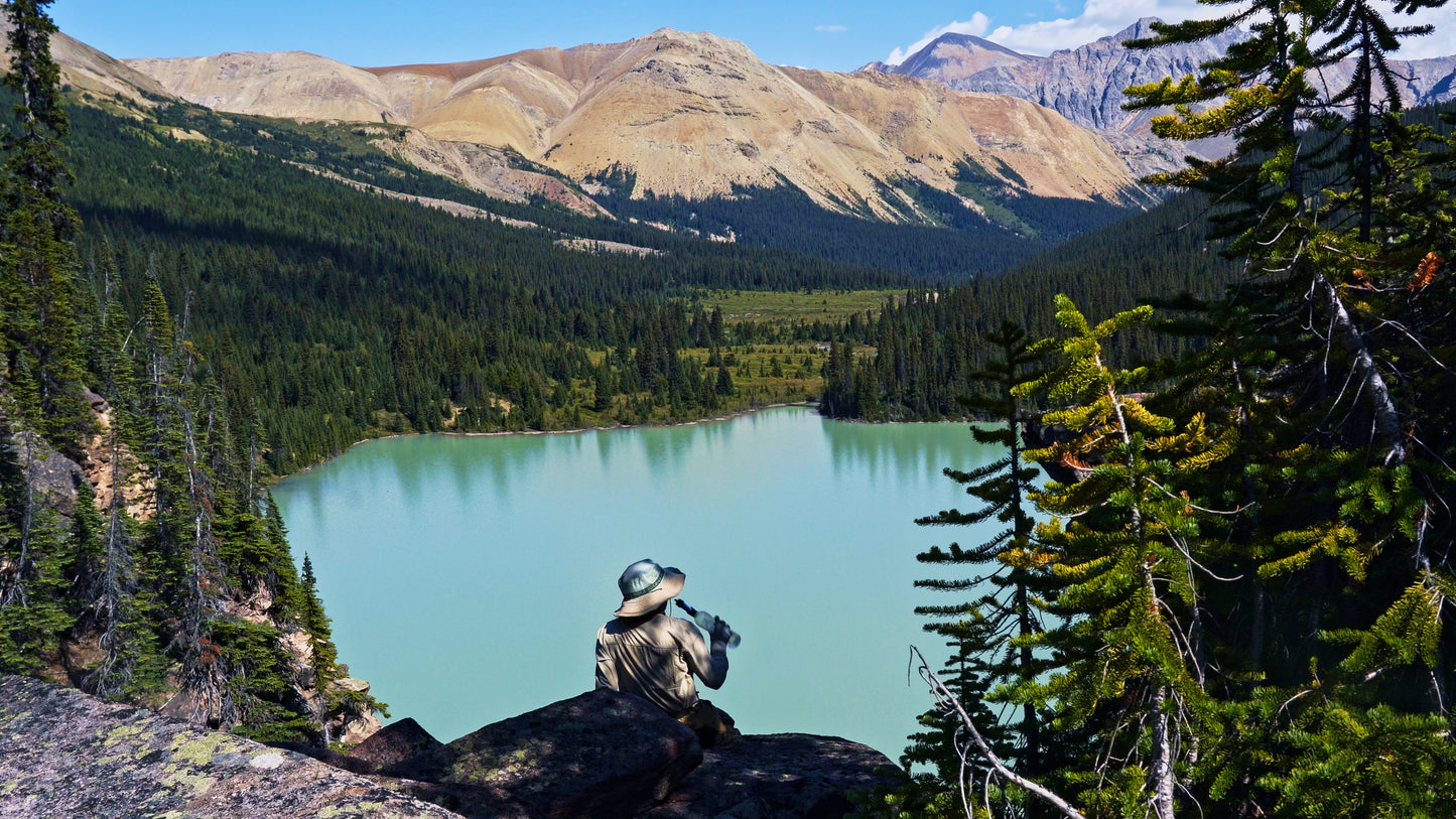 Stills: White Goat Wilderness