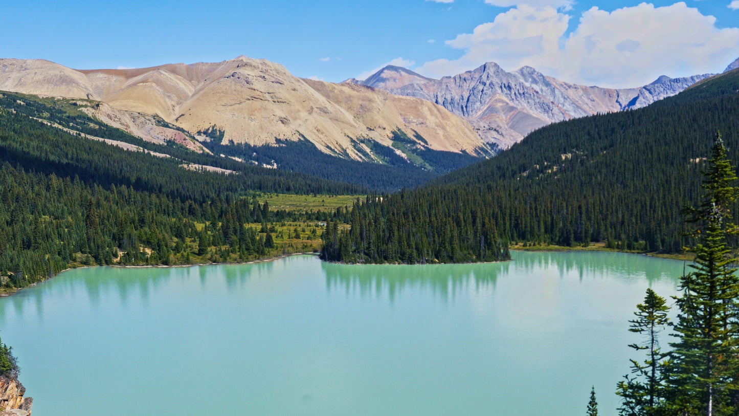 Stills: White Goat Wilderness