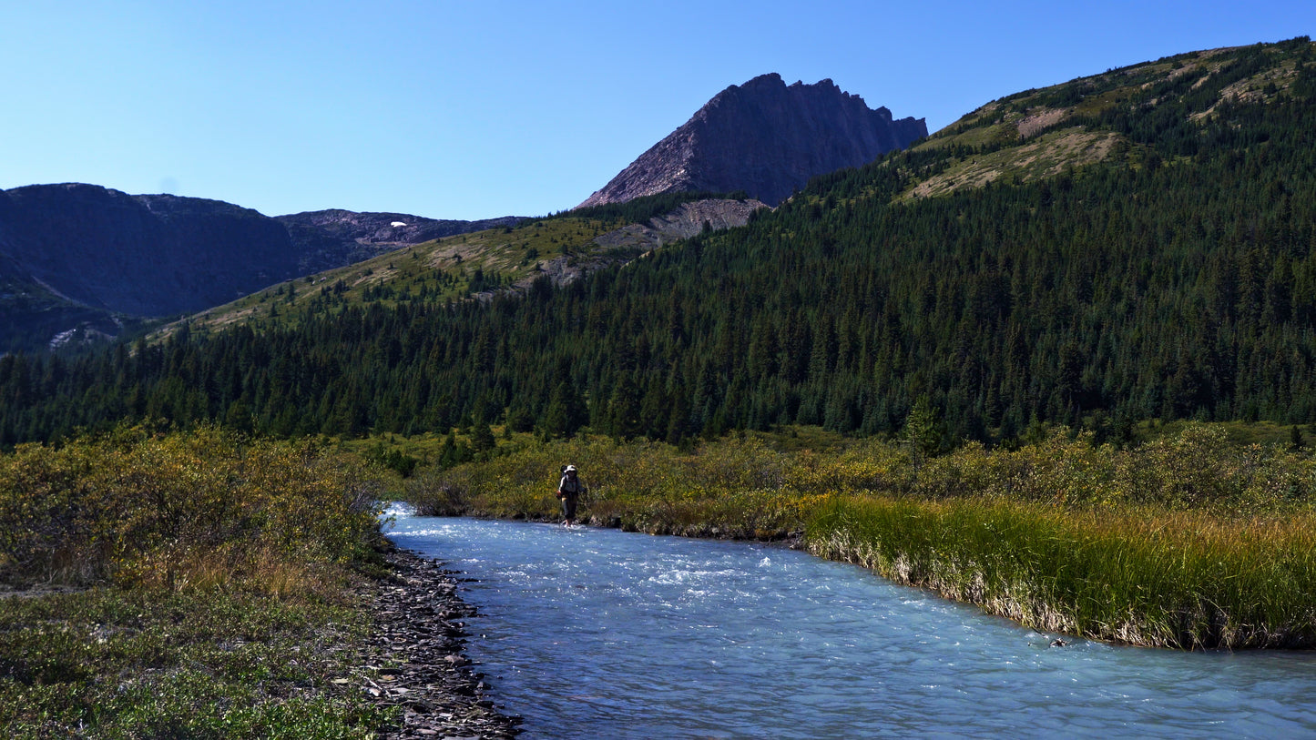 Stills: White Goat Wilderness