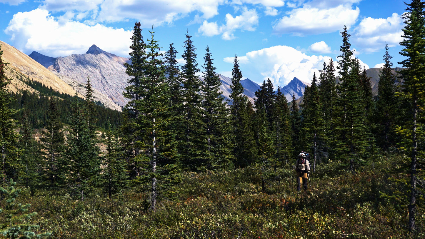 Stills: White Goat Wilderness