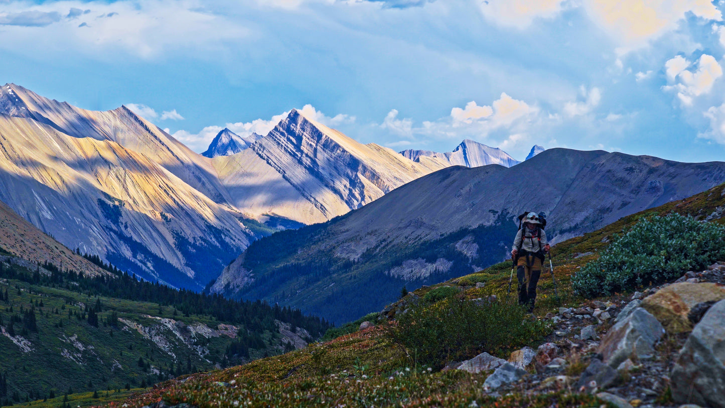 Stills: White Goat Wilderness