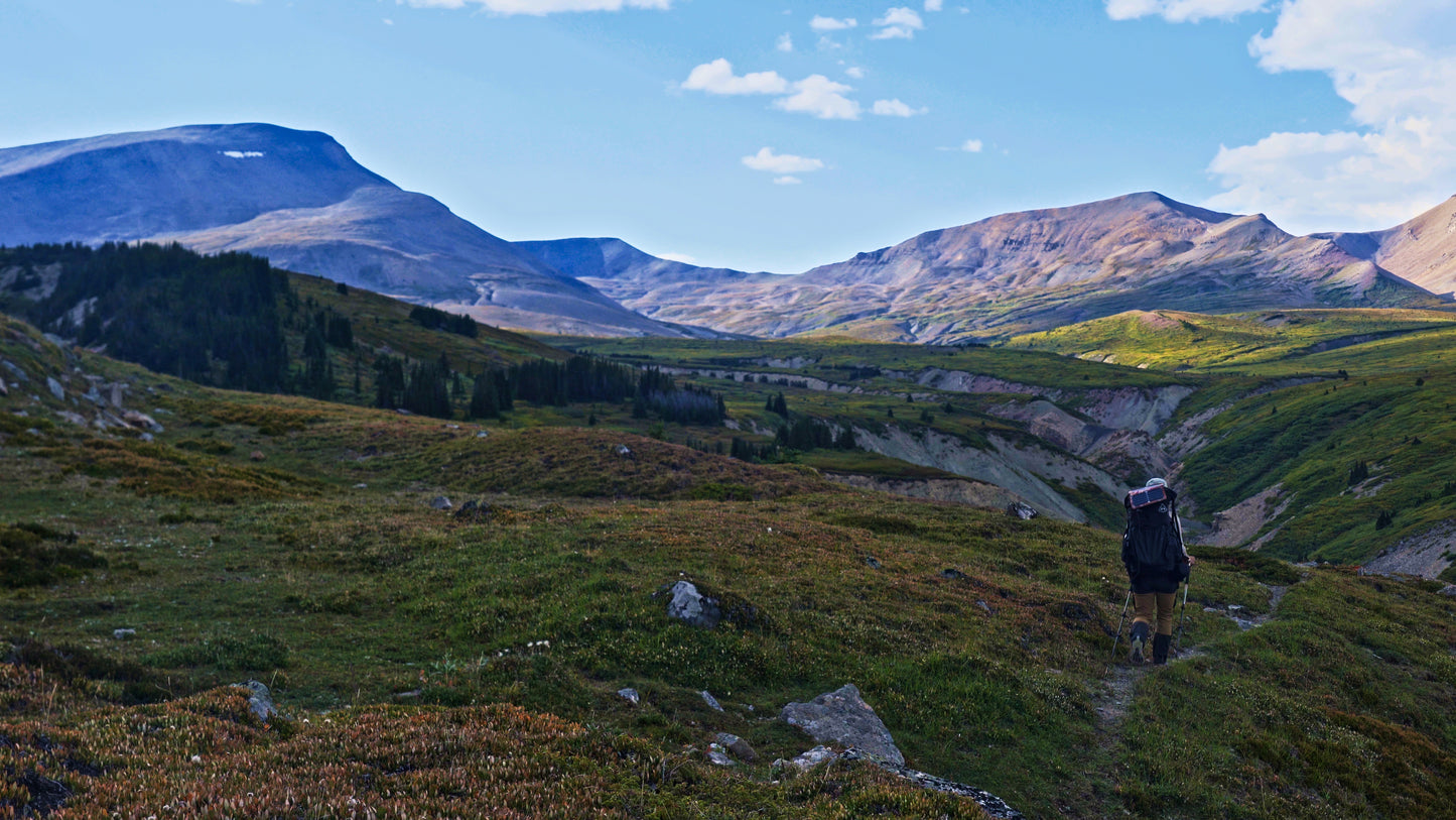 Stills: White Goat Wilderness