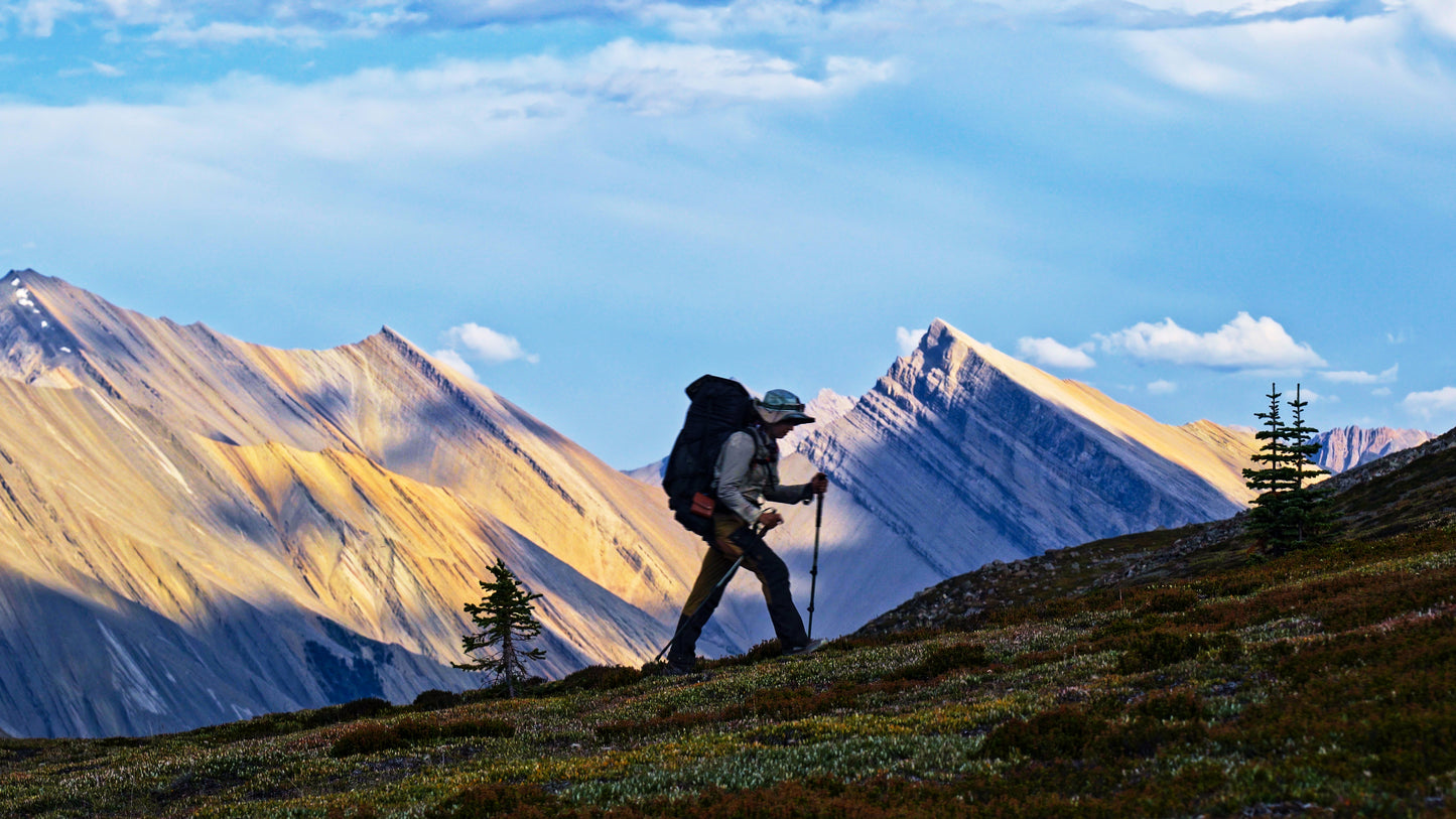 Stills: White Goat Wilderness