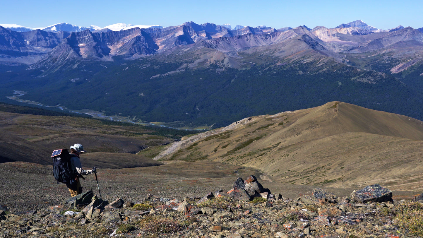 Stills: White Goat Wilderness